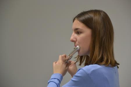 Koncert ucencev GS Trebnje ob zacetku mandata, foto Lapego (2)